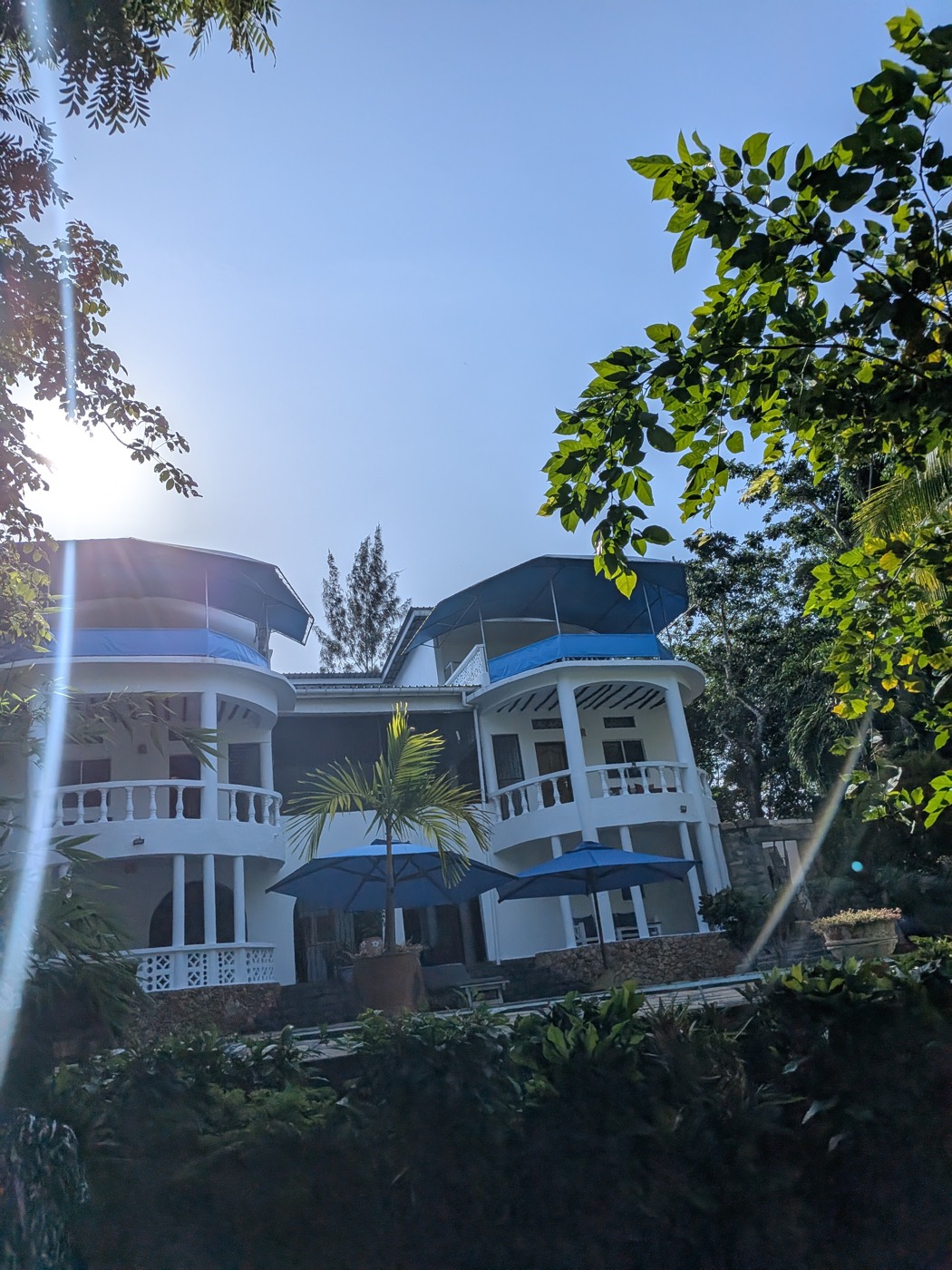 Coastal villa framed by tropical trees